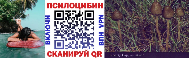 ОМГ ОМГ ONION  Слободской  Псилоцибиновые грибы мицелий 